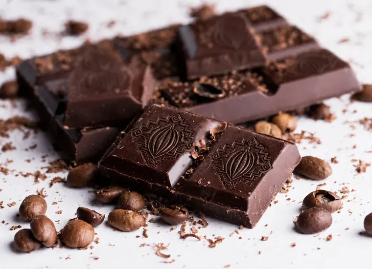Dark chocolate bar embossed with the Qhapaq Cacao emblem, broken beside cacao beans.